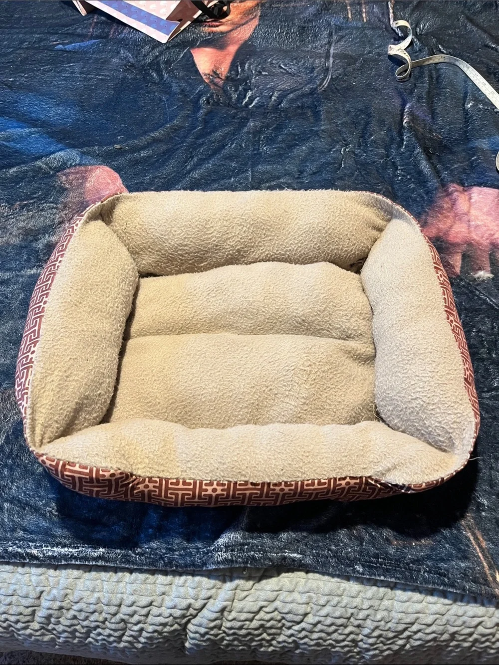 Luxury Small Pet Bed in Cream with Brown Trim